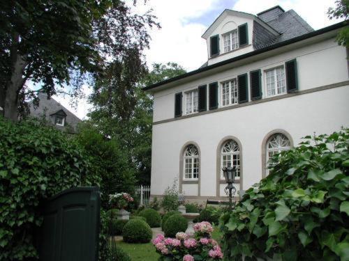 Hotel Bastgen Bed & Breakfast à Wittlich Extérieur photo